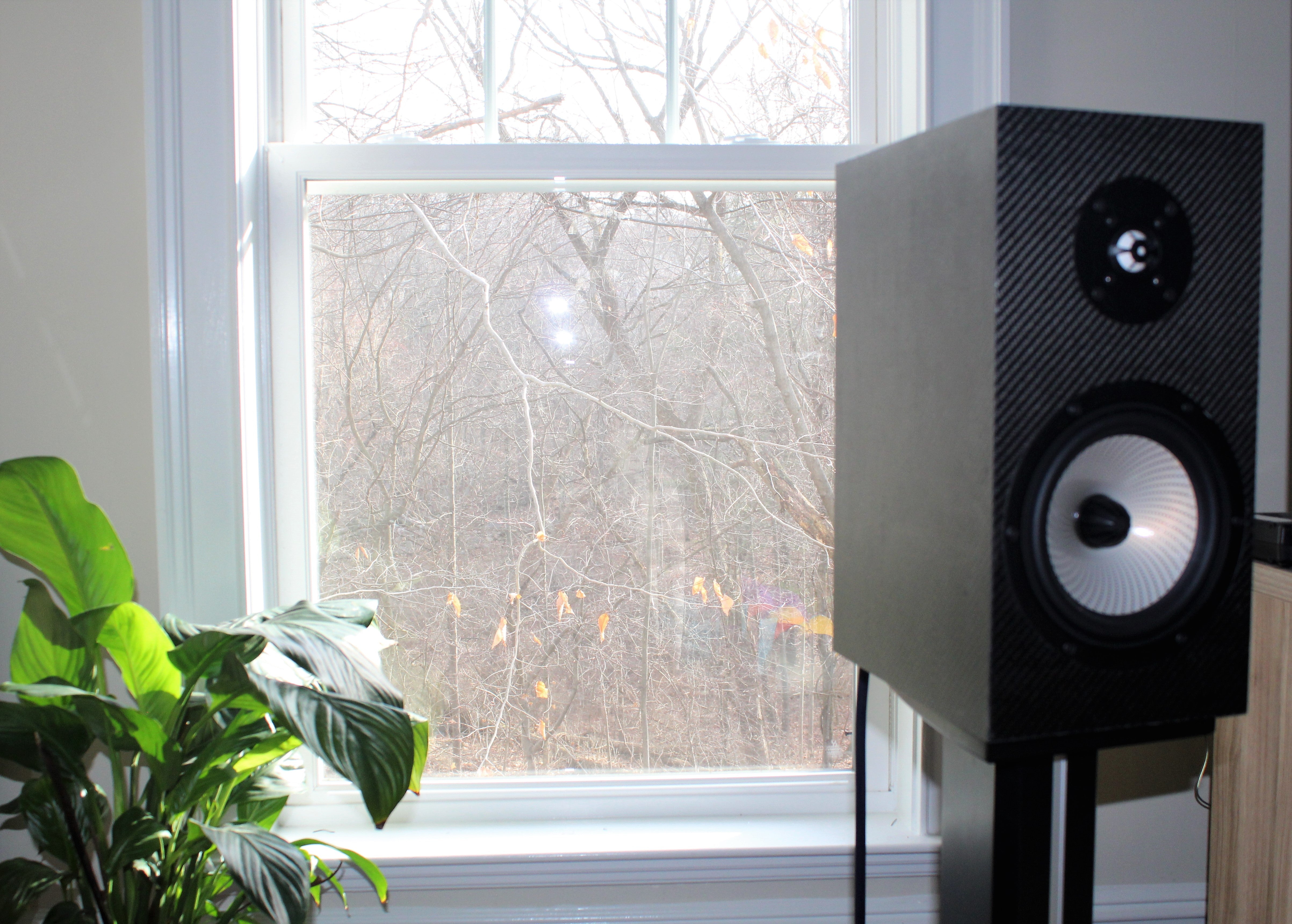 Verdant Audio Speakers