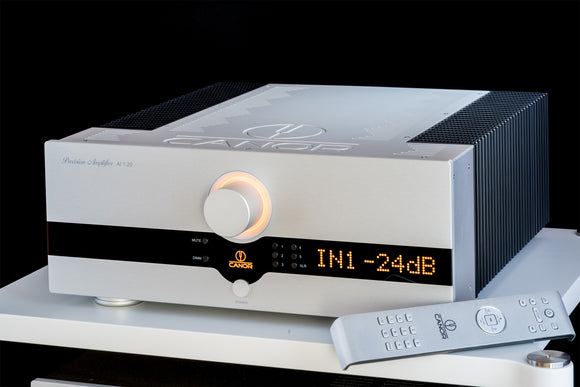 Integrated Amps