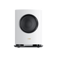 Canton Reference Subwoofer