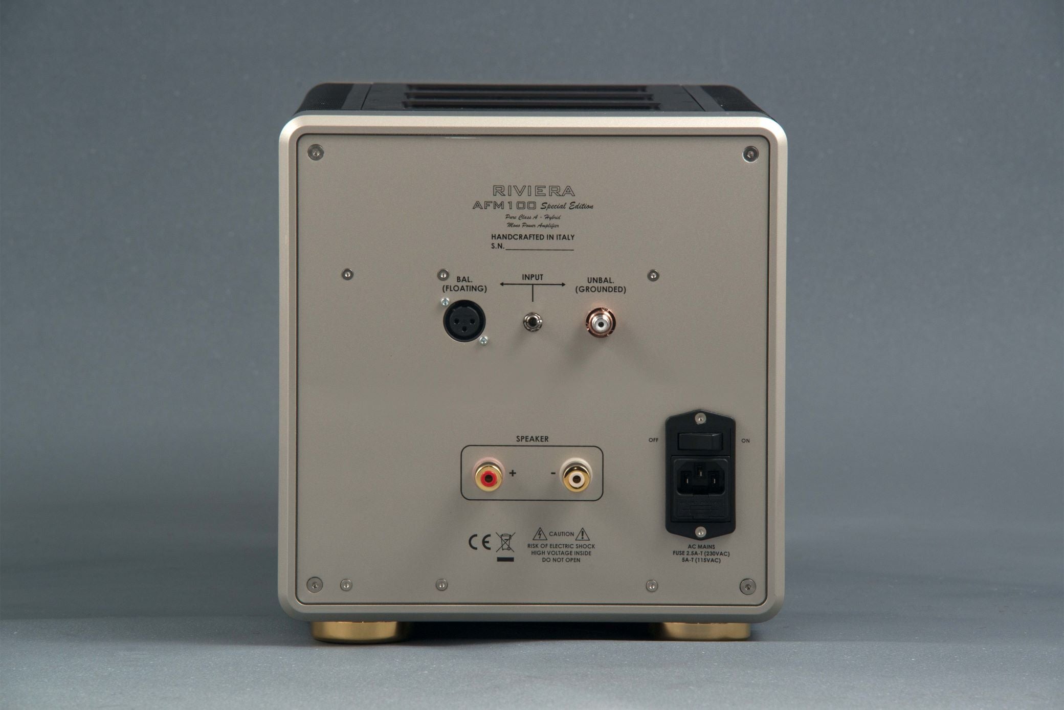Riviera Labs AFM100 Special Edition -Monophonic Power Amplifier