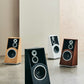 Audiovector Trapeze Floorstanding Speaker