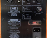 Acoustic Energy AE1