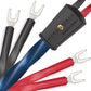 Wireworld Oasis® 10 Speaker Cable (Pair)