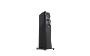 Perlisten Audio R5t Floorstanding Loudspeaker (each)