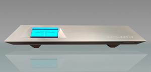 borg.audio dune mono power amplifier (pair)