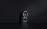 Perlisten Audio S4s Surround Loudspeakers (each)